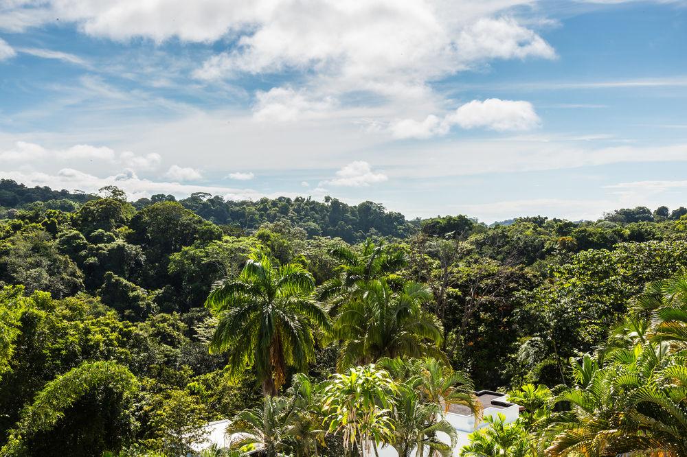 Selina Manuel Antonio Hotel Kültér fotó